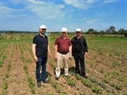 Muşcalı Mahallemizden Üreticimiz Ahmet Akbaş'ın Soya fasulyesi ve Buğday arazilerini ziyaret ettik.